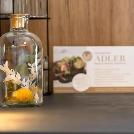 Landgasthof Adler 2* Utzmemmingen