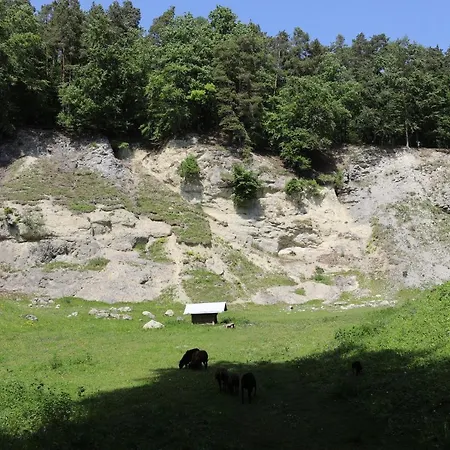 Landgasthof Adler 2*
