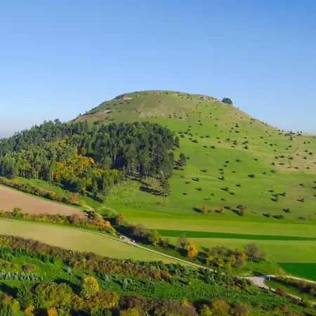 宾馆 Landgasthof Adler